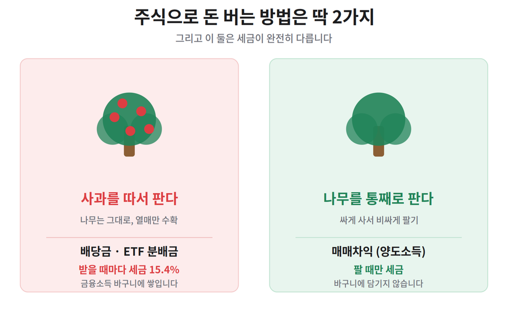 주식 세금 배당금과 매매차익 차이 사과나무 비유